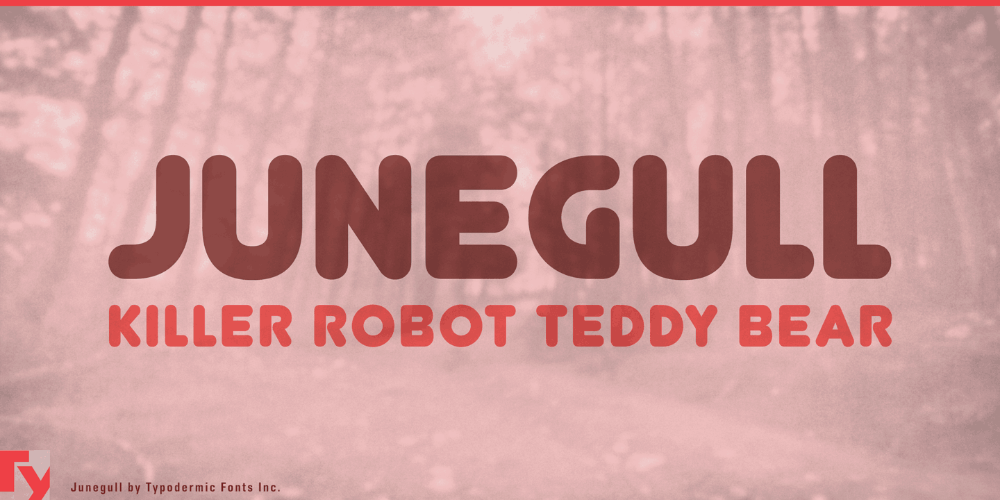 フォント Junegull