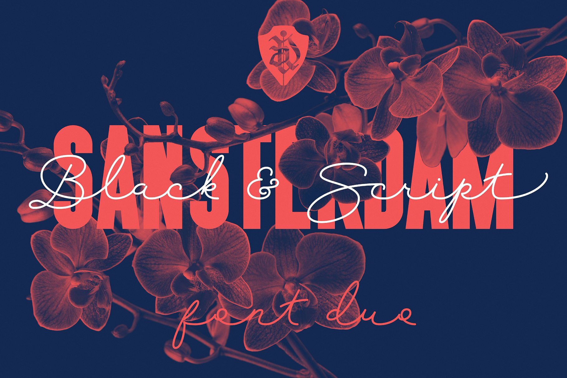 フォント Sansterdam