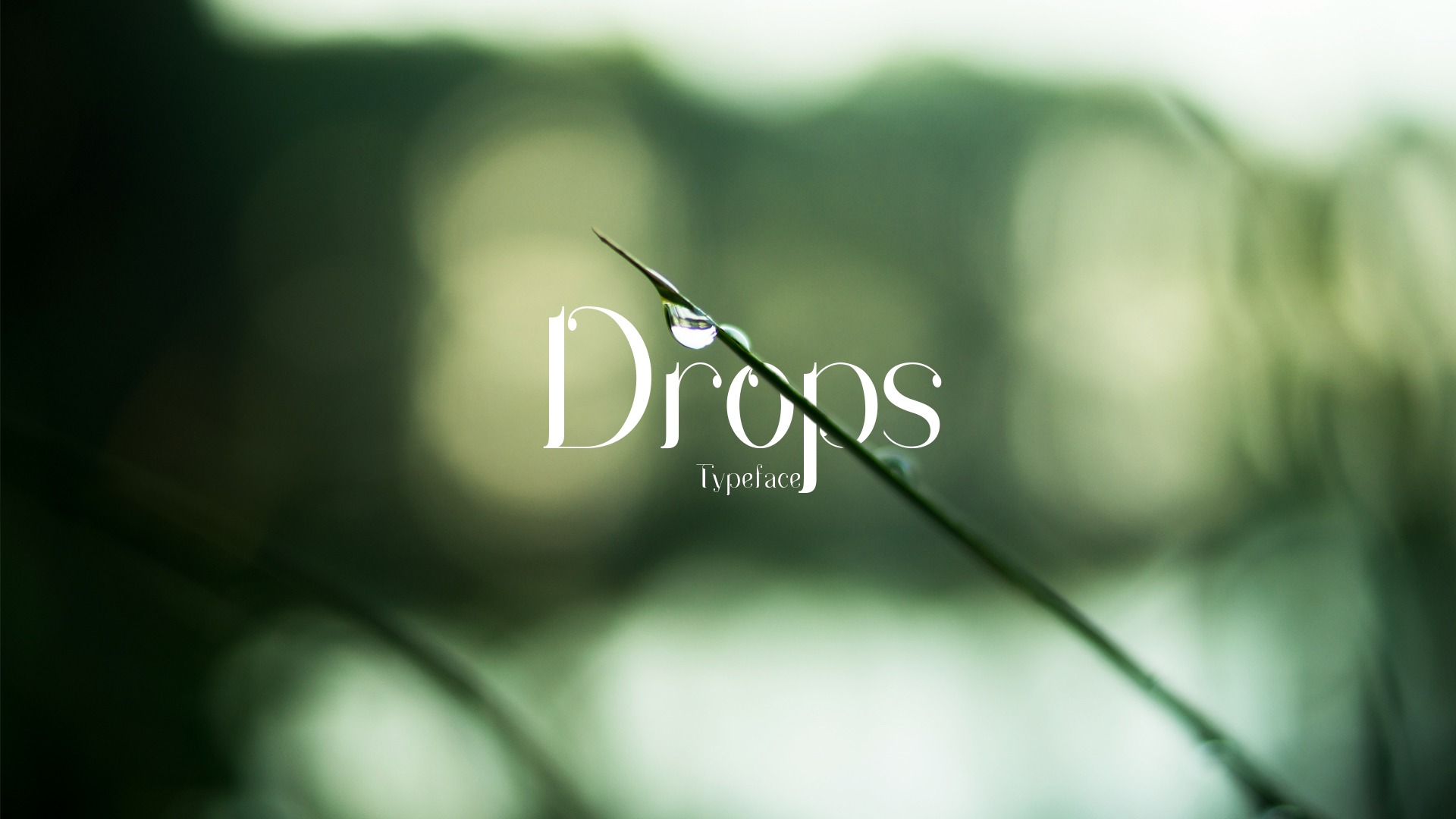 フォント Drops