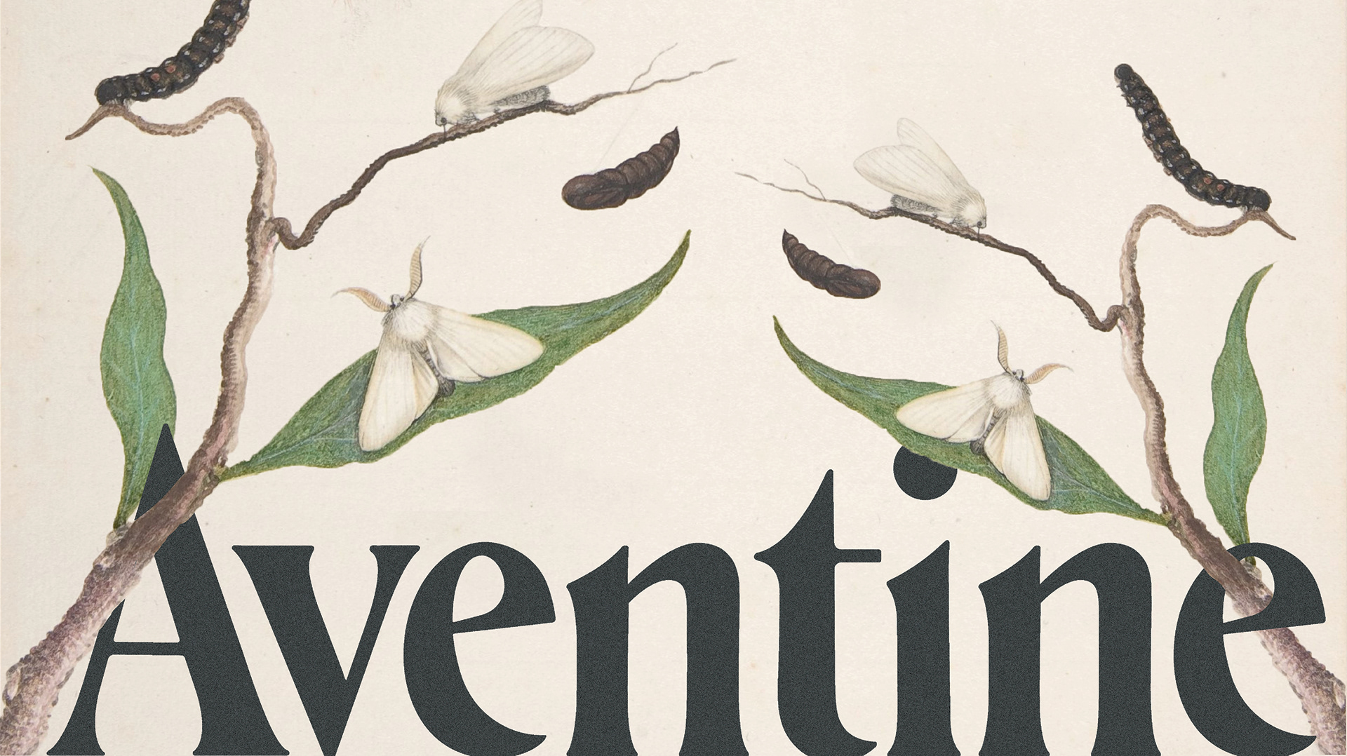 フォント Aventine