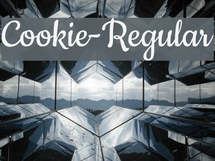フォント Cookie