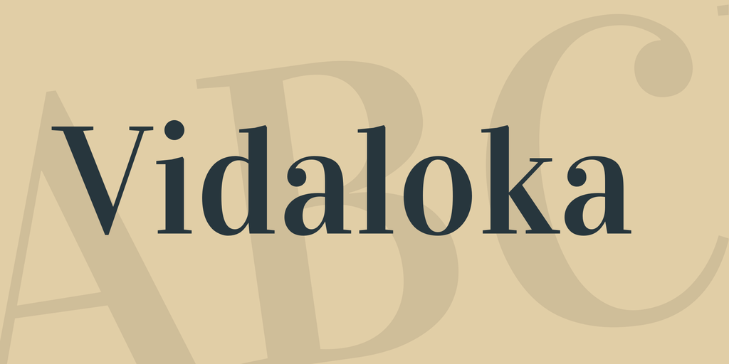 フォント Vidaloka