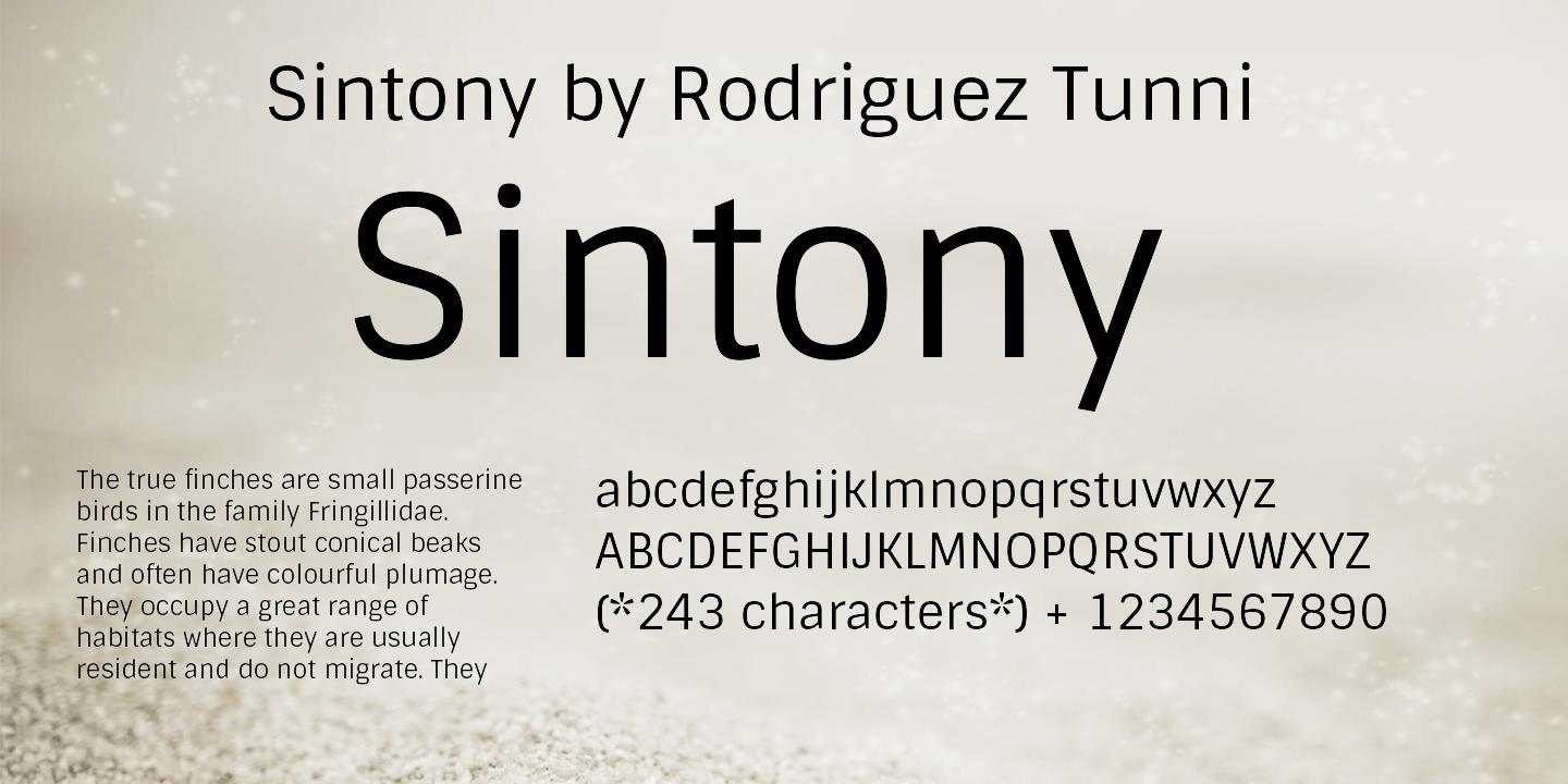 フォント Sintony