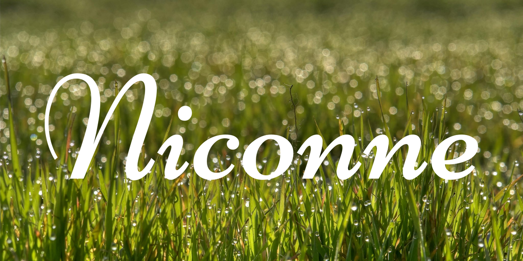 フォント Niconne