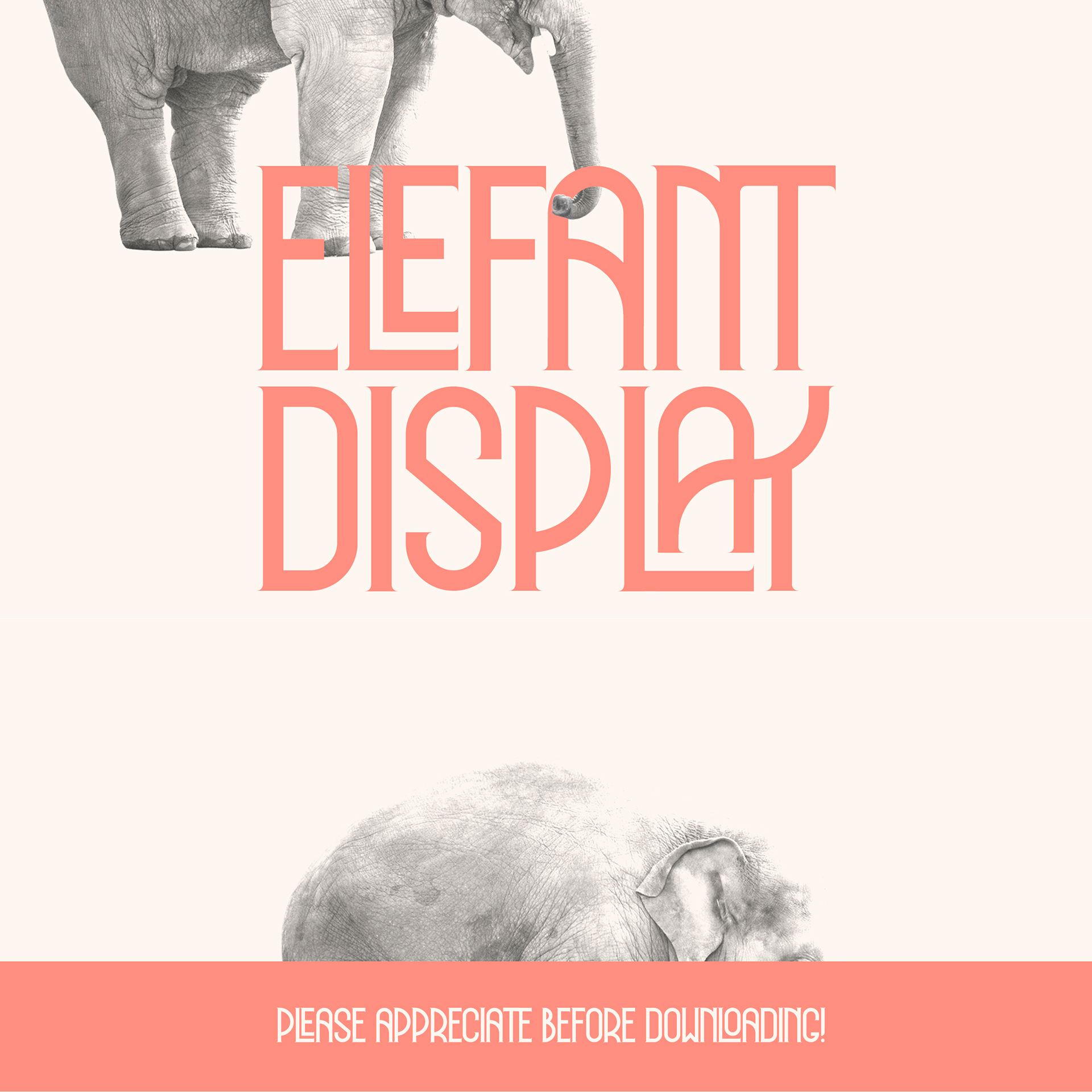 フォント Elefant Display