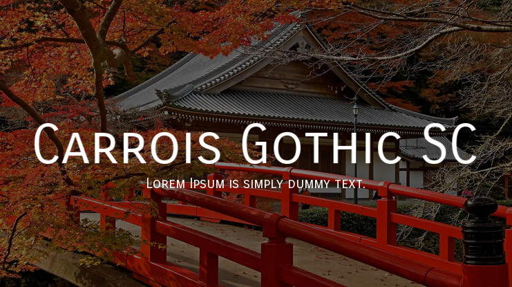 フォント Carrois Gothic SC