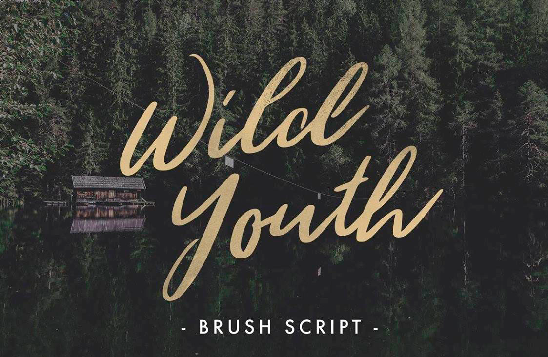Wild Youth