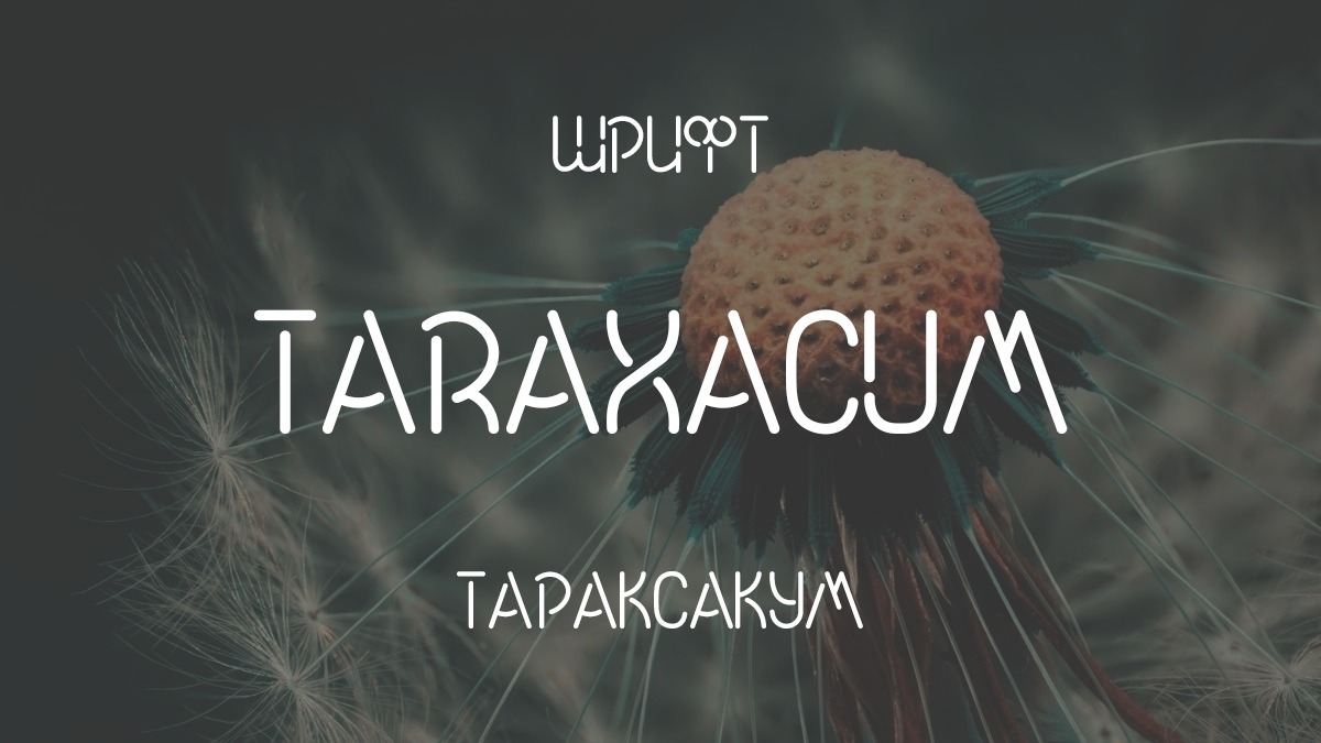フォント Taraxacum