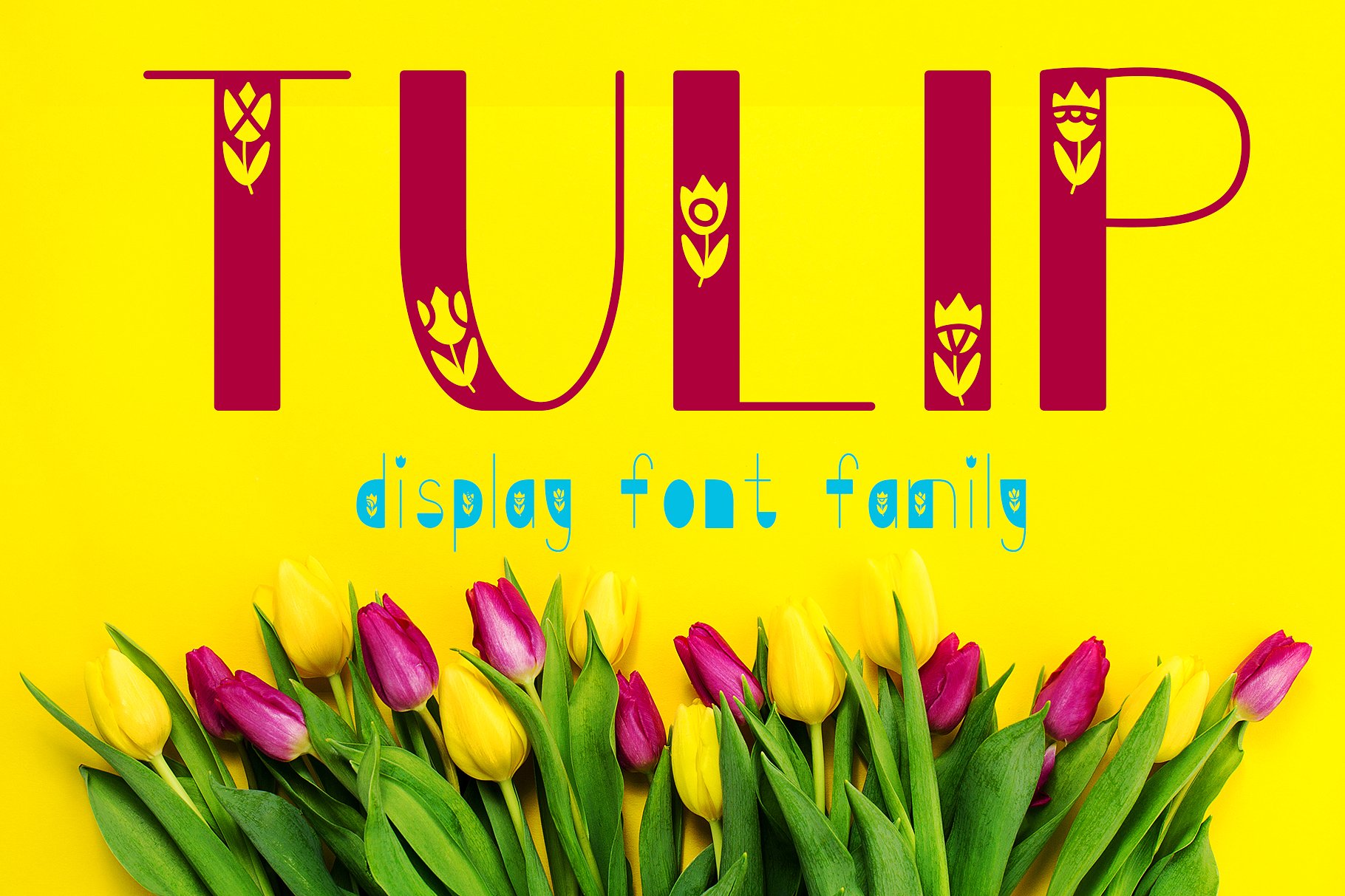 フォント Tulip
