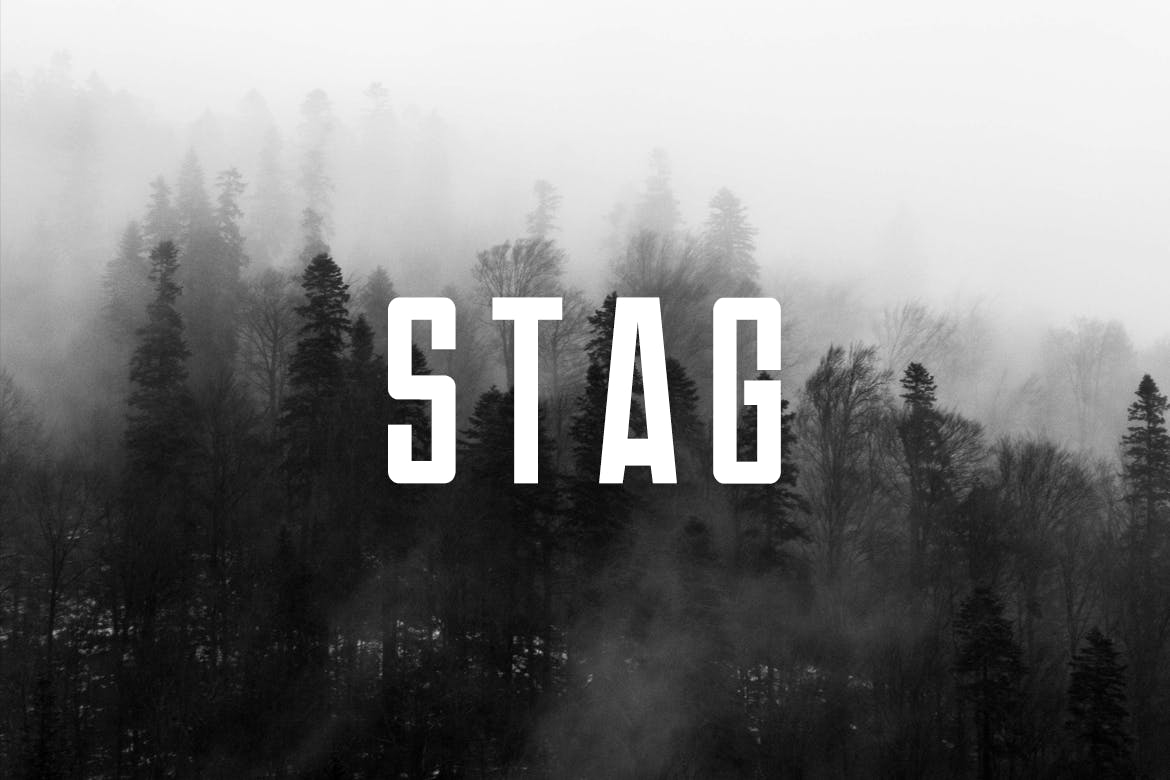 フォント Stag