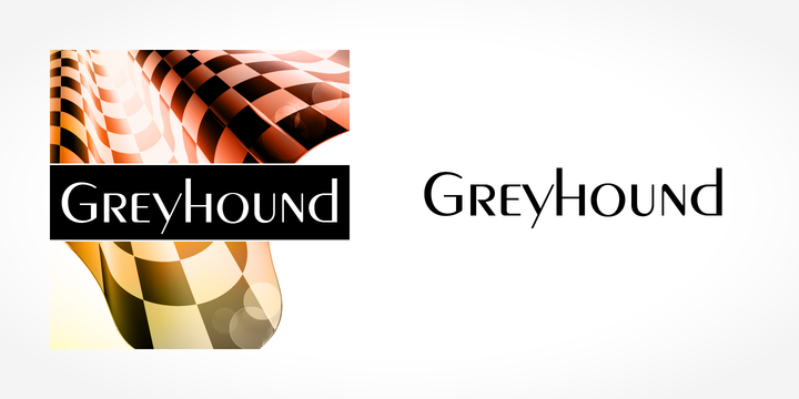 フォント Greyhound