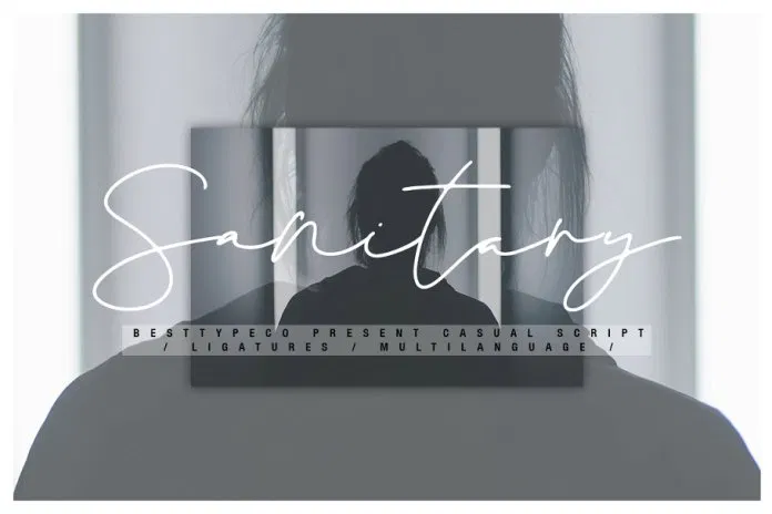 フォント Sanitary