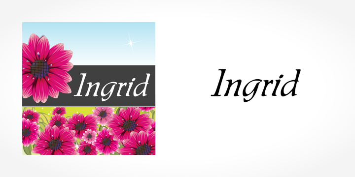 フォント Ingrid