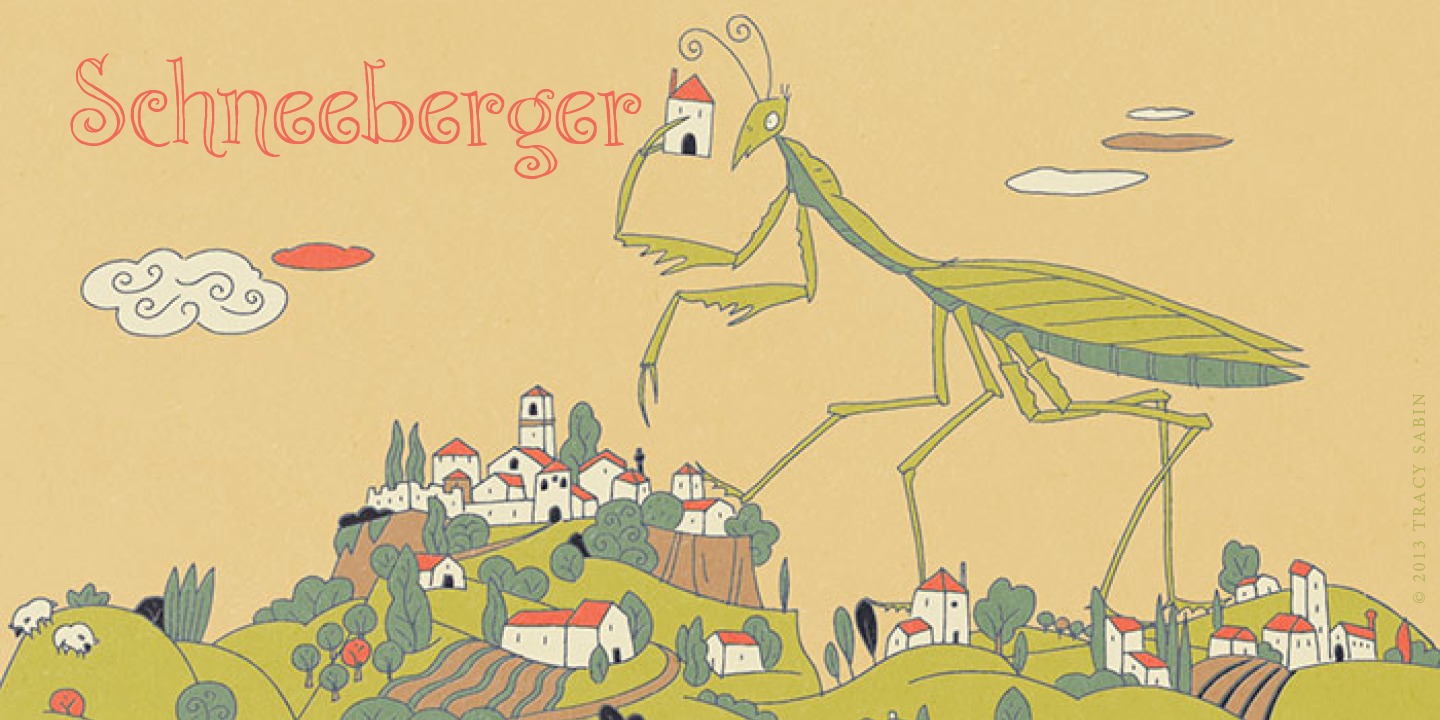 フォント P22 Schneeberger