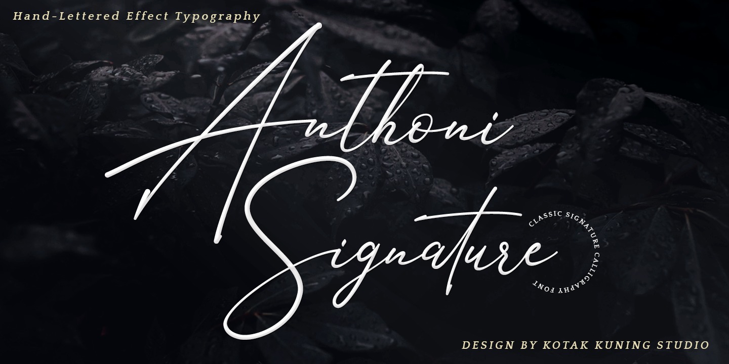 フォント Anthoni Signature