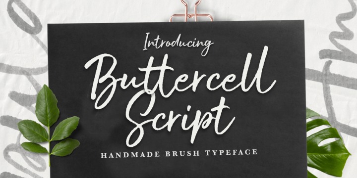 フォント Buttercell Script