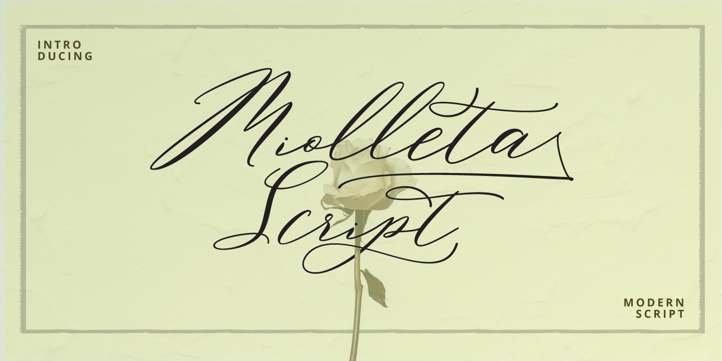 フォント Miolleta Script