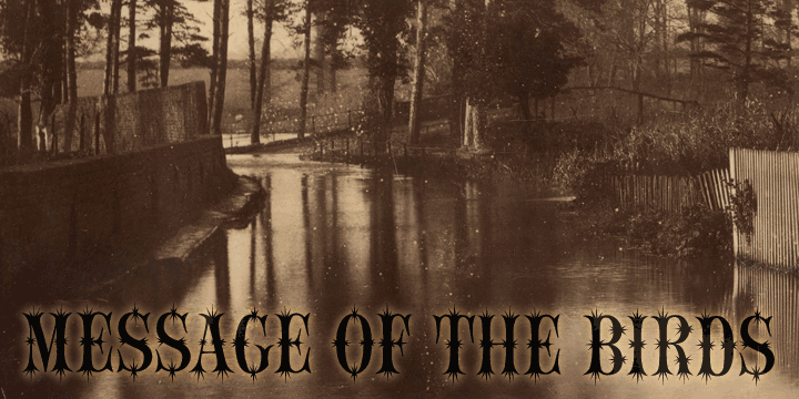 フォント Message of the Birds