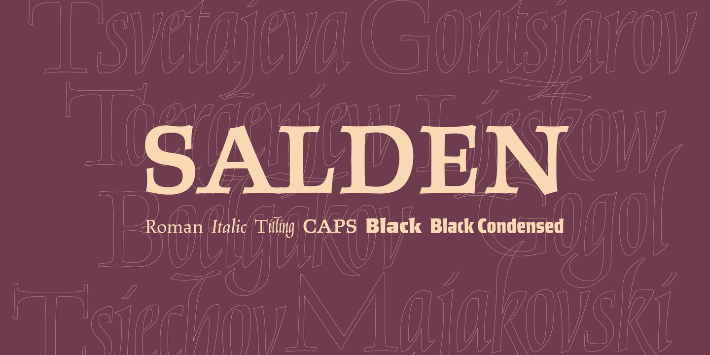 フォント Salden