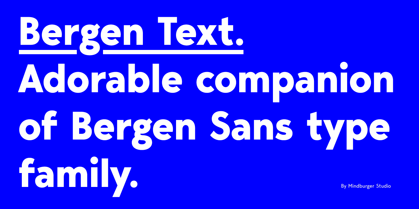 フォント Bergen Text
