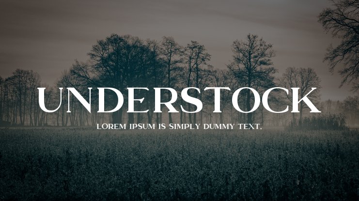 フォント Understock