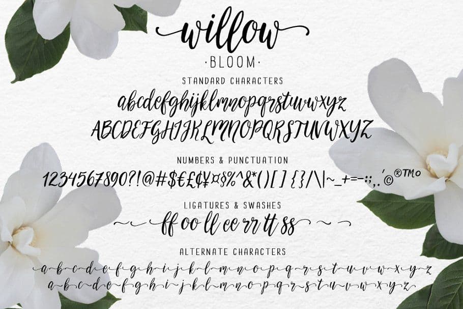 フォント Willow