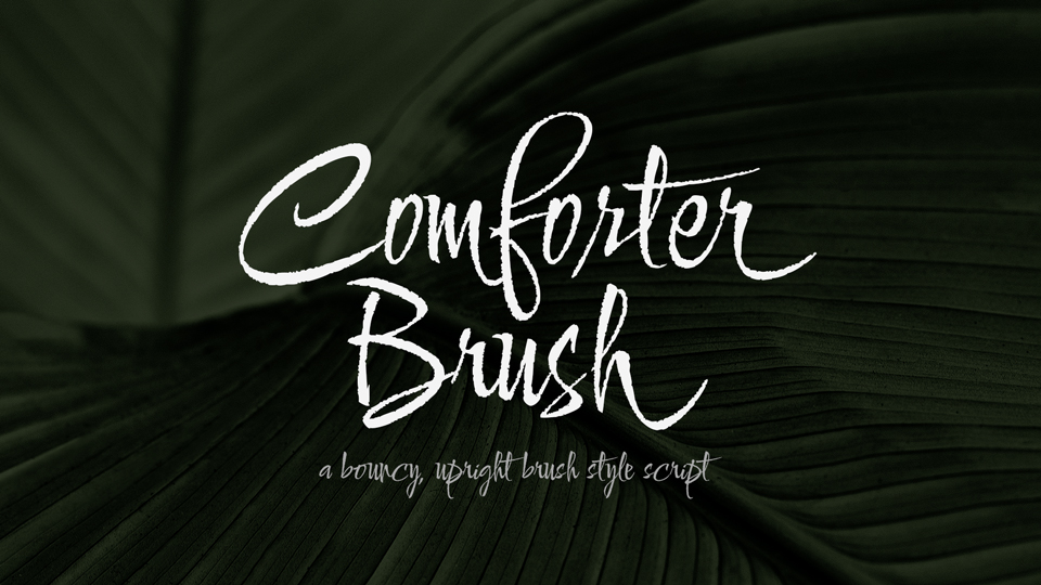 フォント Comforter Brush