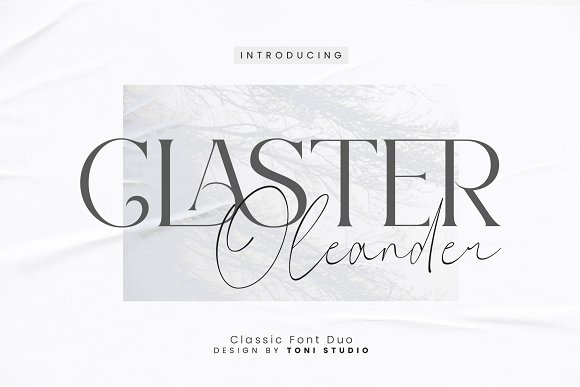 フォント Claster Oleander