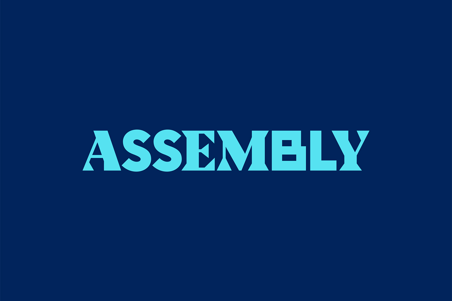 フォント Assembly