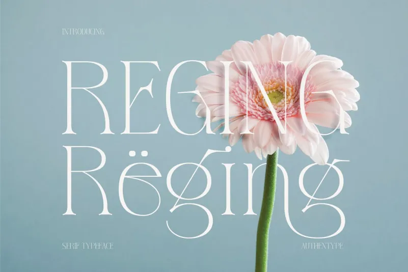 フォント Reging