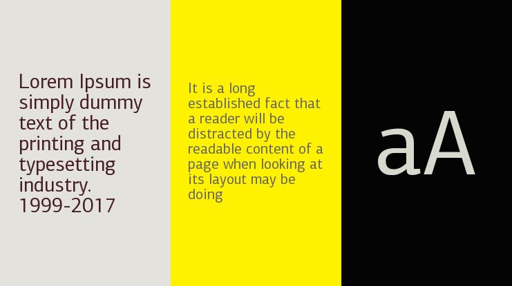 フォント PF Agora Serif Pro