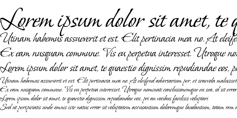 フォント Vera Crouz