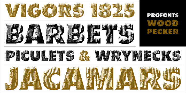 フォント Carpenter