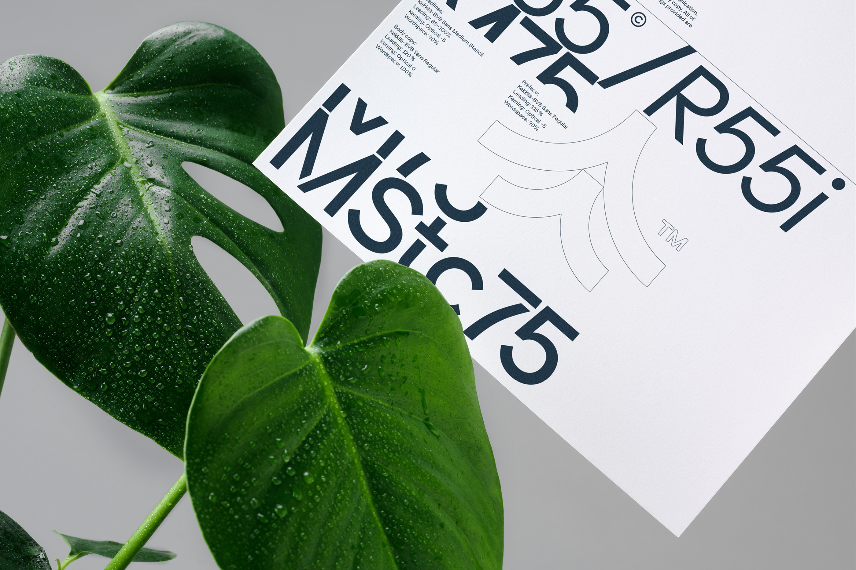 フォント Kekkila BVB Sans