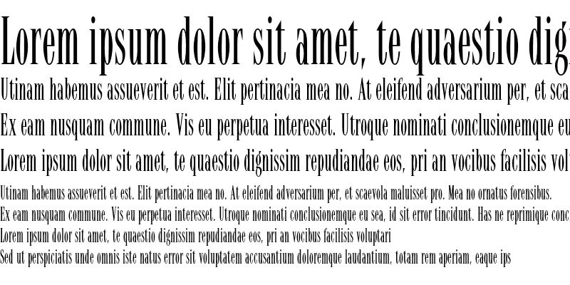 フォント Latino Elongated