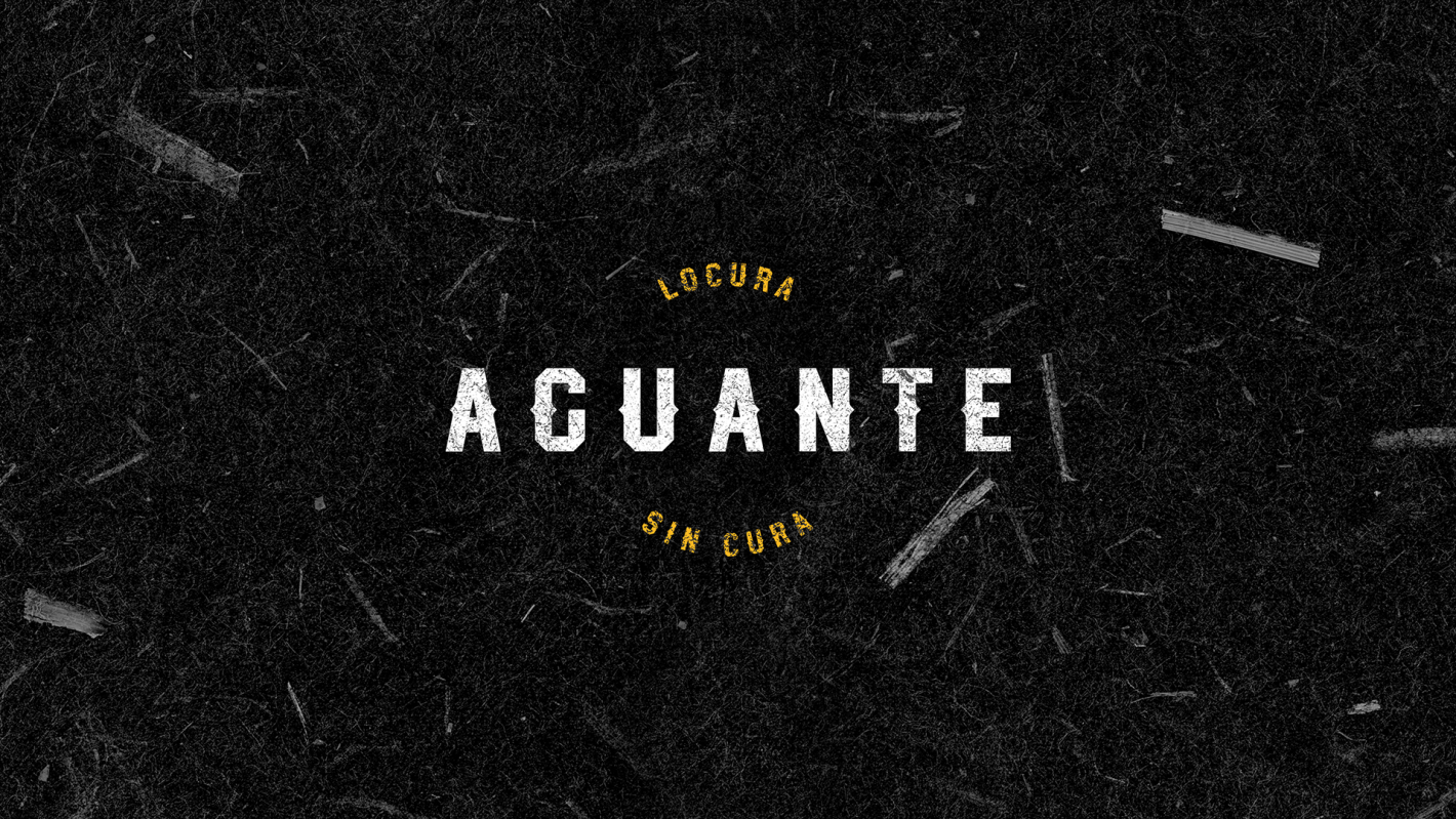 フォント AGUANTE