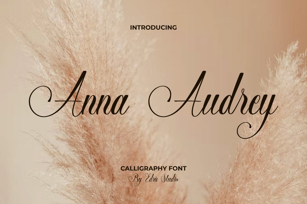 フォント Anna Audrey