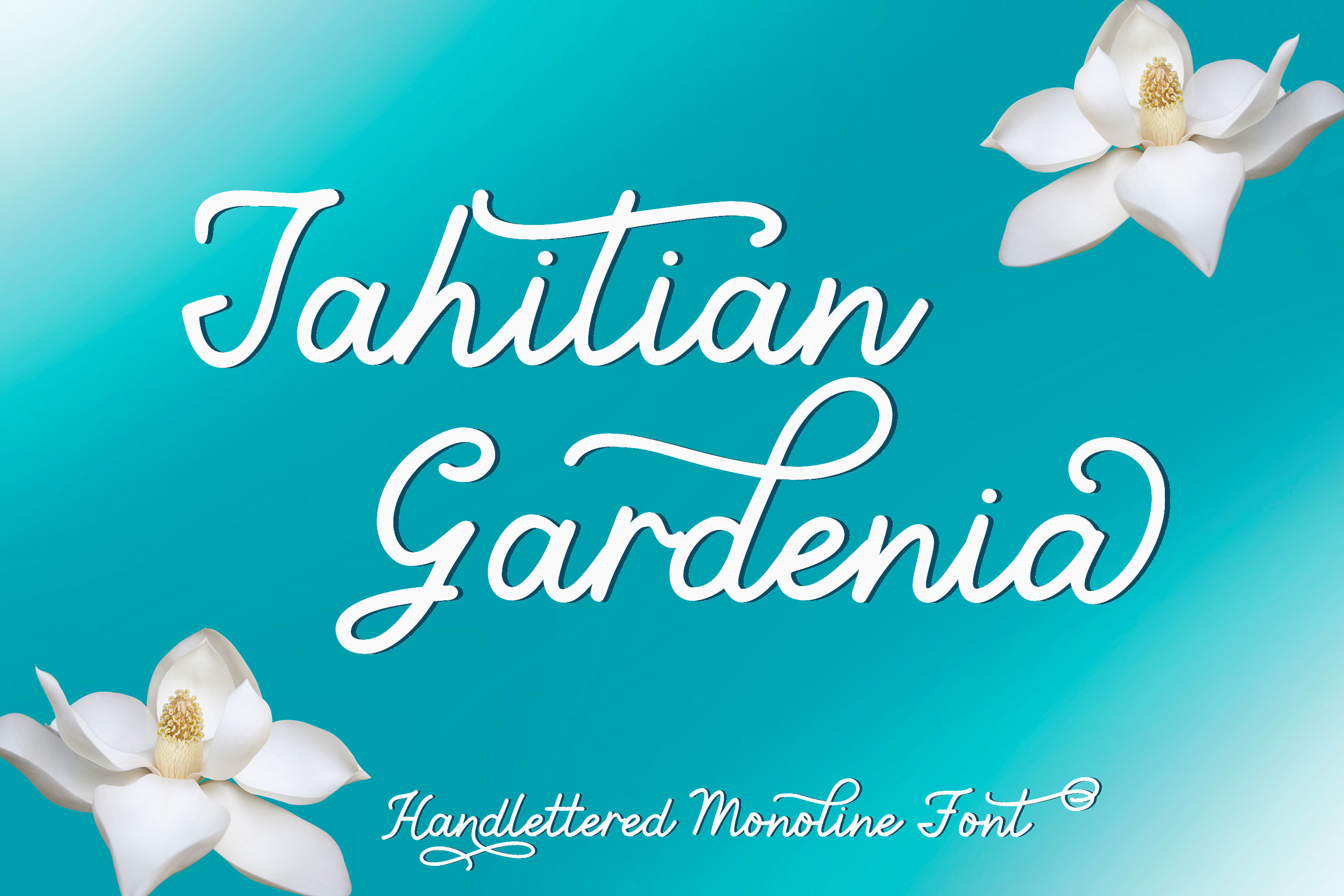 フォント Tahitian Gardenia