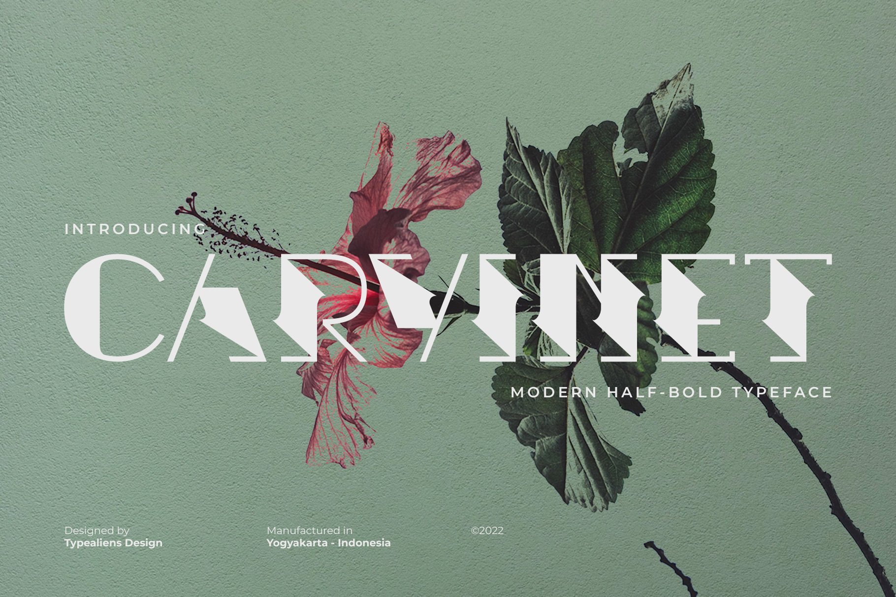 フォント Carvinet