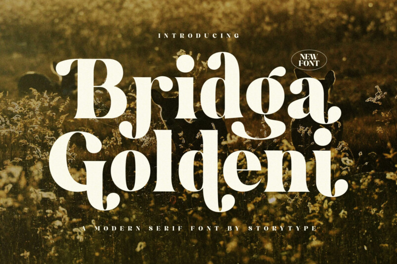 フォント Bridga Goldeni