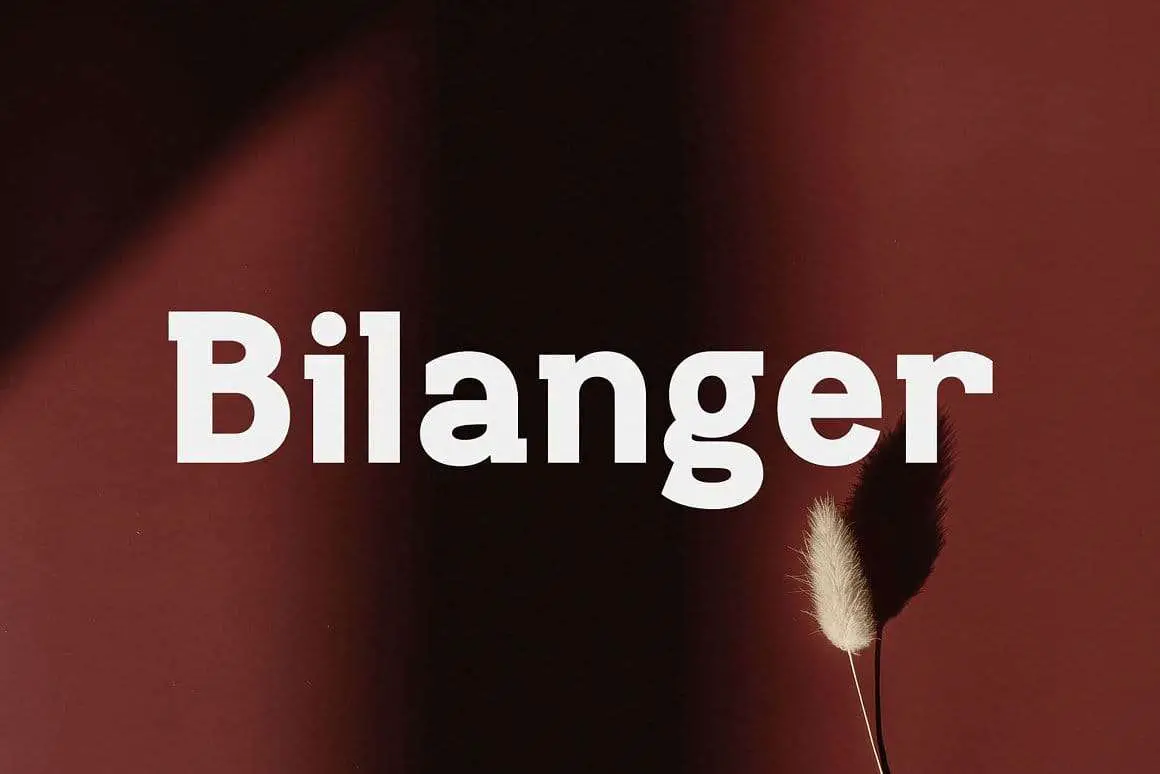 フォント Bilanger