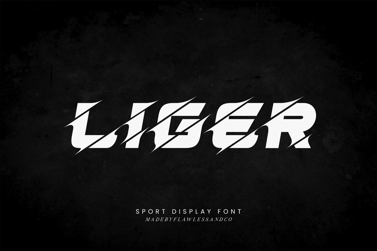 フォント Liger