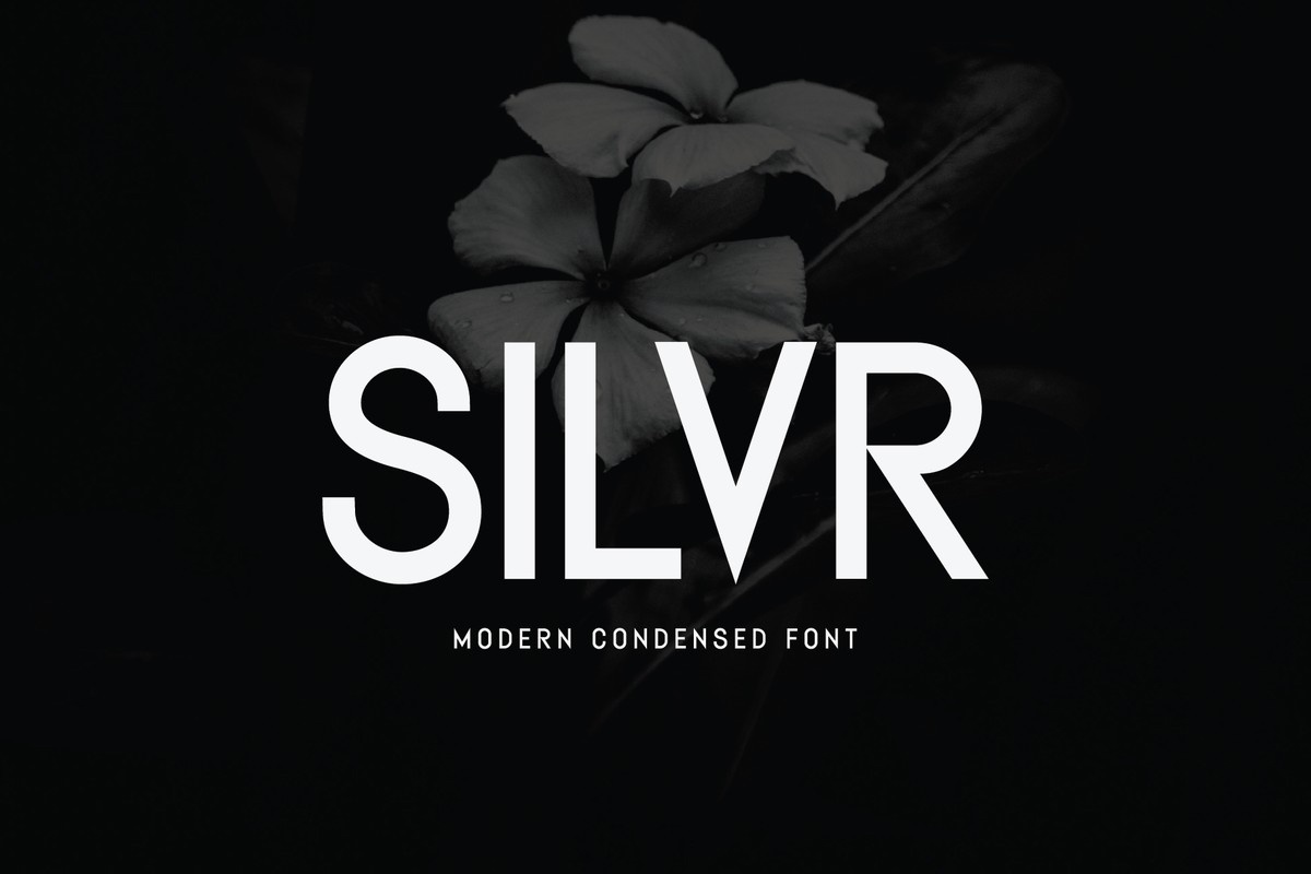 フォント Silvr