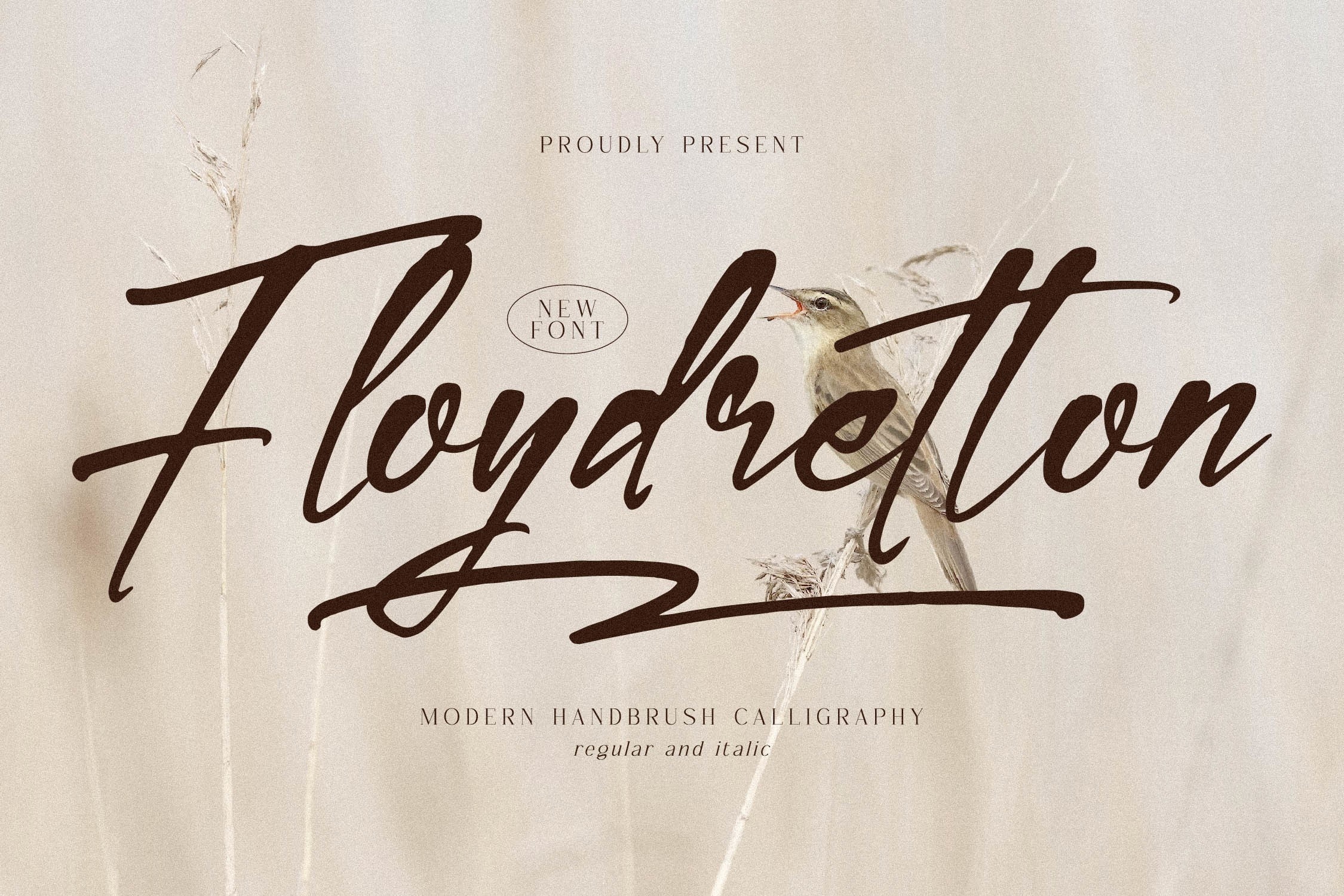 フォント Floydretton