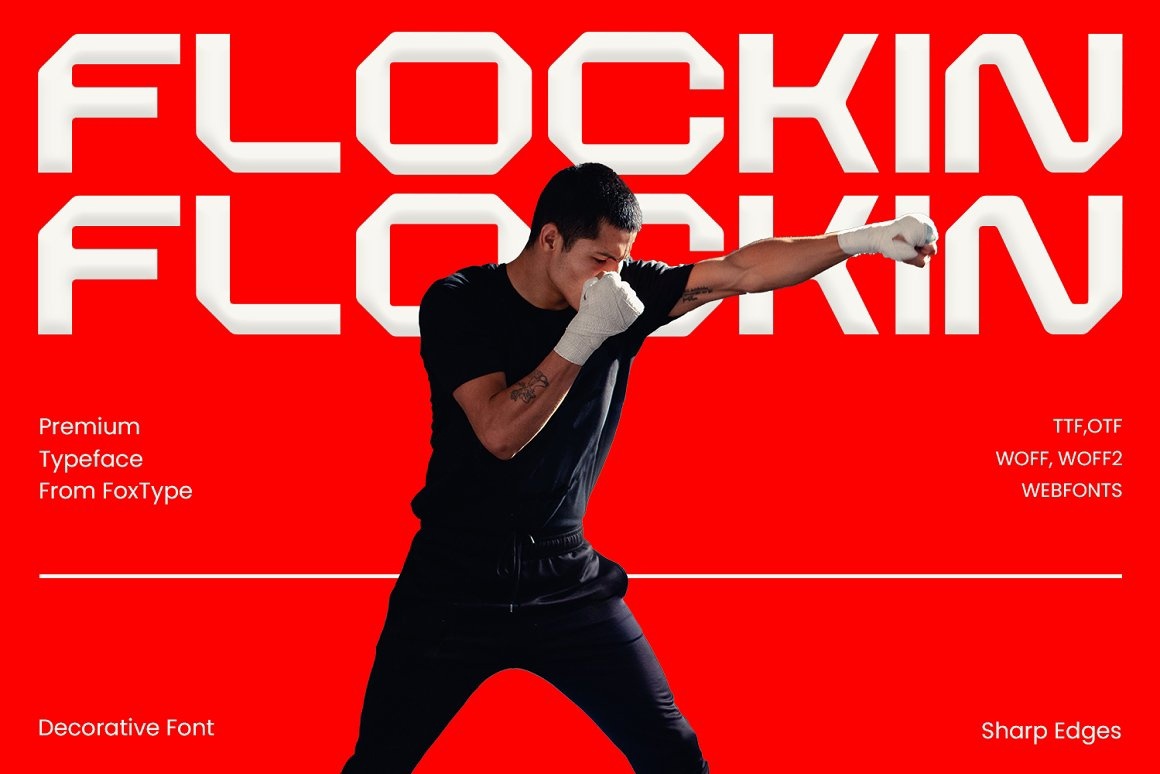 フォント Flockin Display