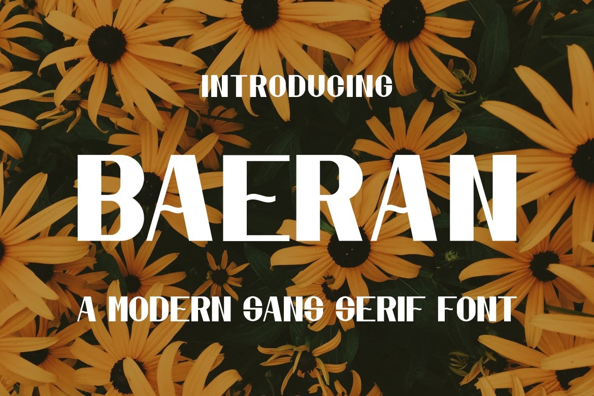 フォント Baeran