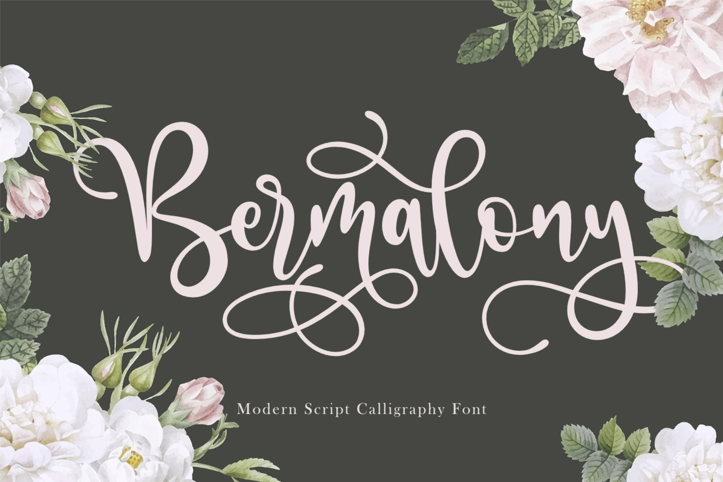 フォント Bermalony