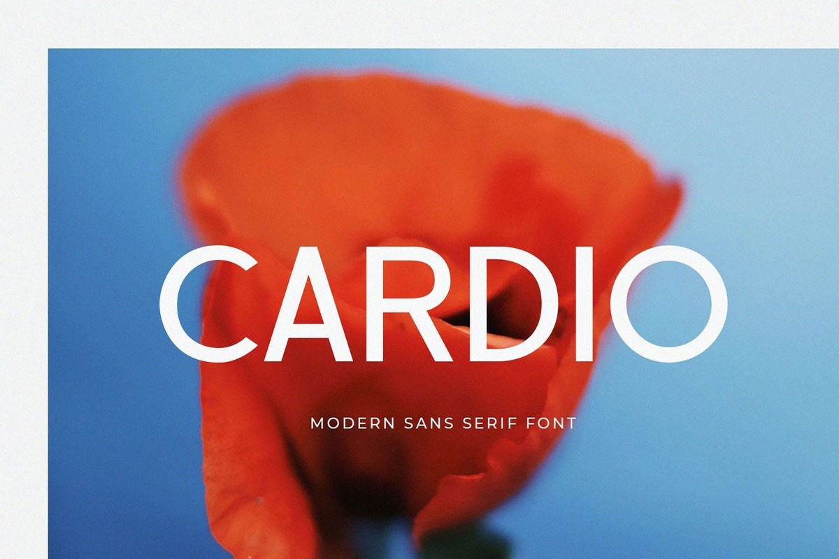 フォント Cardio