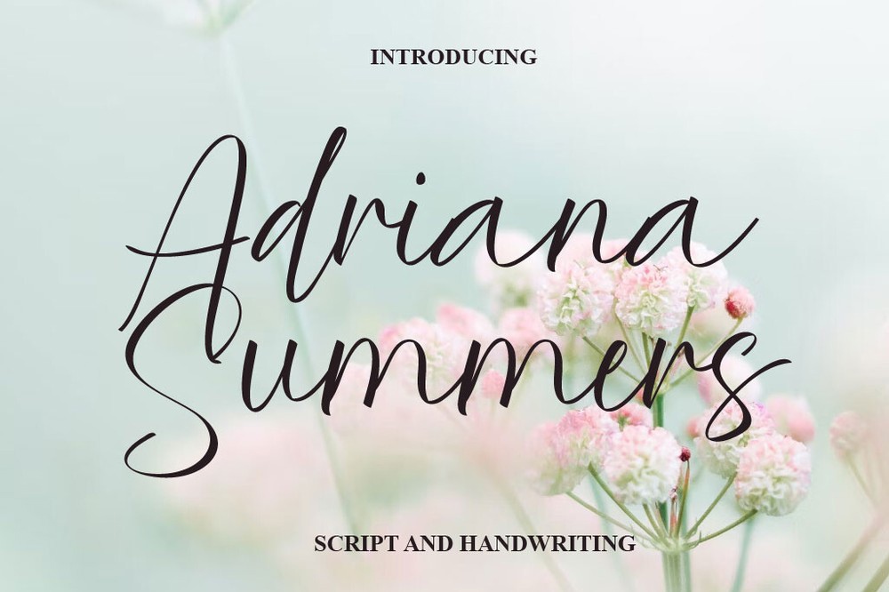 フォント Adriana Summers