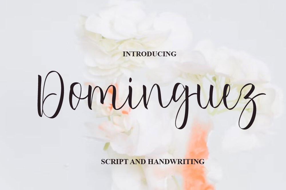 フォント Dominguez